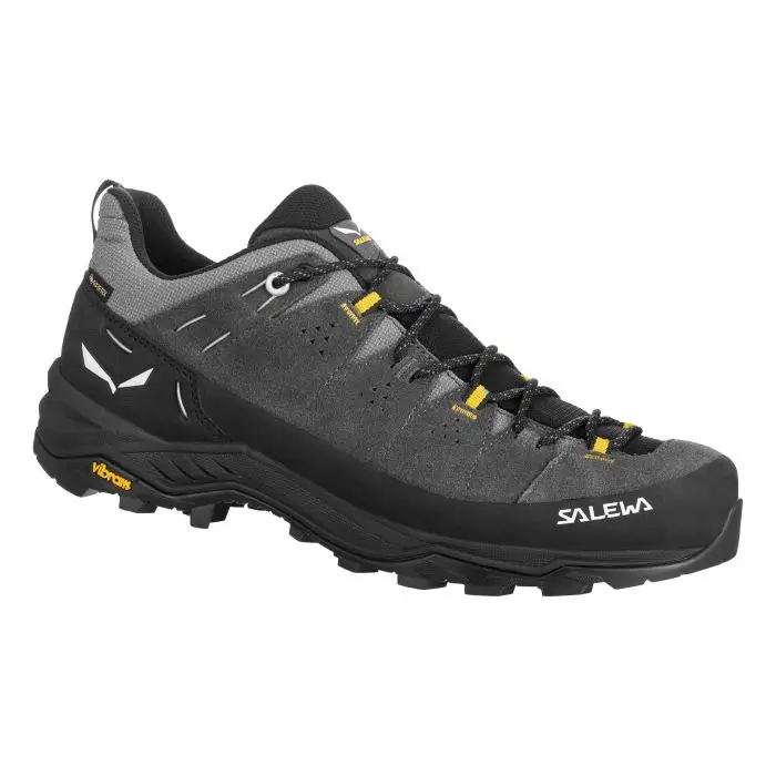 Obniżka ceny Buty męskie SALEWA ALP TRAINER 2 GTX