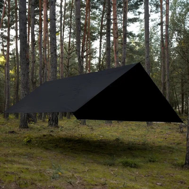 Wyjątkowa oferta Tarp T2 3x3 m Poland TigerWood Black