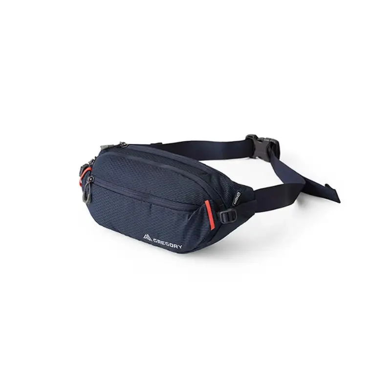 Szybka dostawa Nerka Gregory Nano Waistpack 4 Spark Navy
