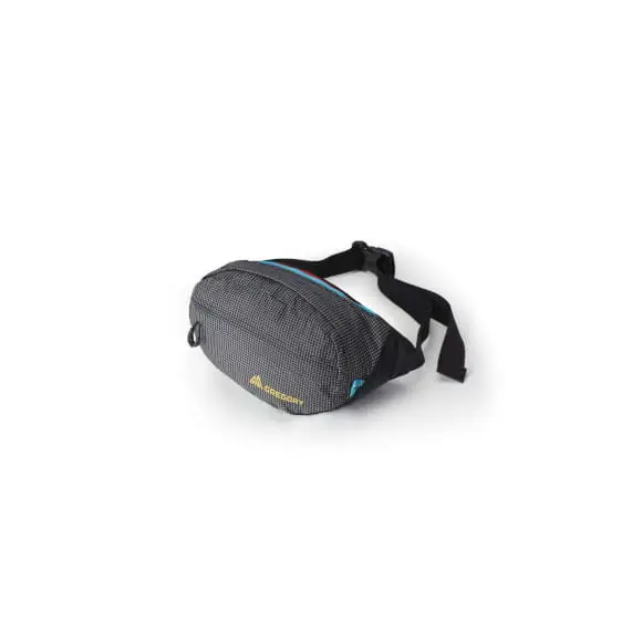 Zamów teraz Saszetka nerka Gregory Nano 4 Obsidian Techno Black