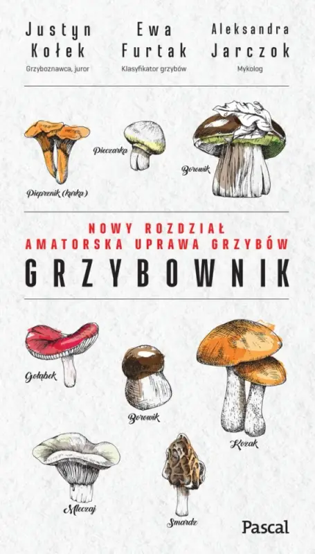 Okazja Grzybownik. Ewa Furtak, Justyn Kołek, Aleksandra Jarczok