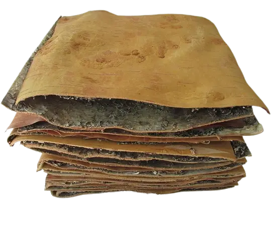 Kora brzozowa w arkuszach - 2 szt Najlepsza cena