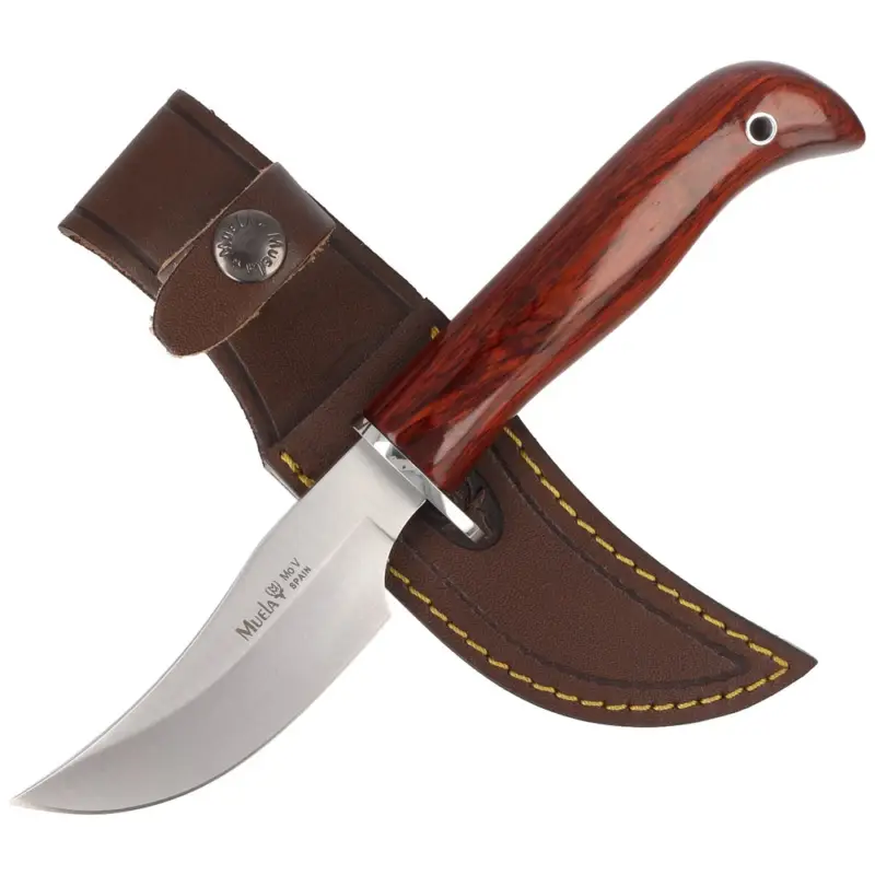 Ostatnie sztuki Nóż Muela Brown Coral Wood, Satin X50CrMoV15 (DP-10R)