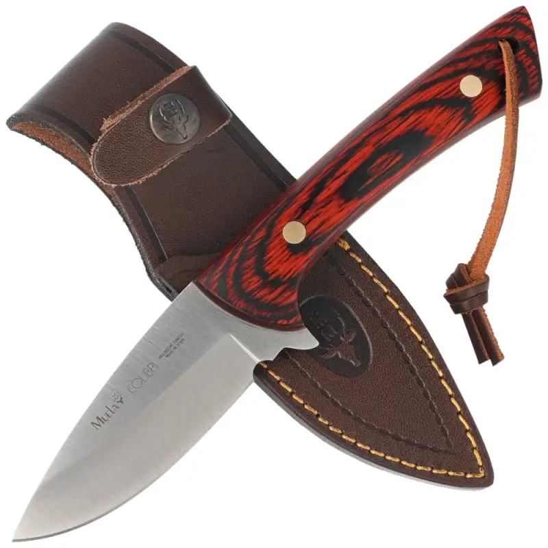 Nóż Muela Colibri COL-9.R Red Pakka Wood, Satin X50CrMoV15 Ostatnia szansa