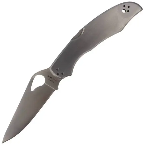 Nóż składany Spyderco Byrd Cara Cara 2 Stainless Plain - BY03P2 Bezpieczna płatność