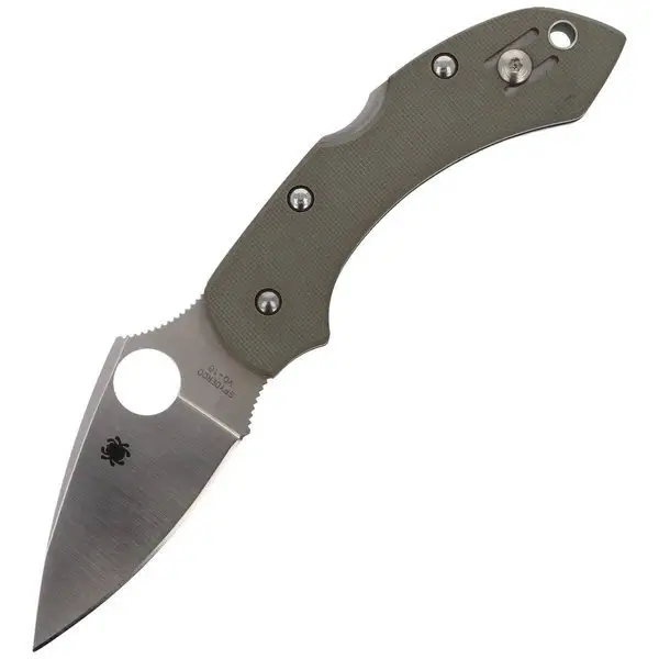 Ekspresowa dostawa Nóż składany Spyderco Dragonfly G-10 Folige Green Plain - C28GPFG