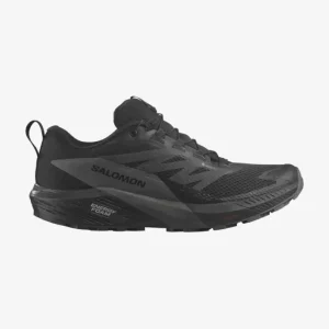 Buty biegowe męskie Salomon Sense Ride 5 GORE-TEX Najlepsza cena