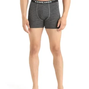 Bokserki termoaktywne męskie Icebreaker Anatomica - Gritstone Heather Nowość