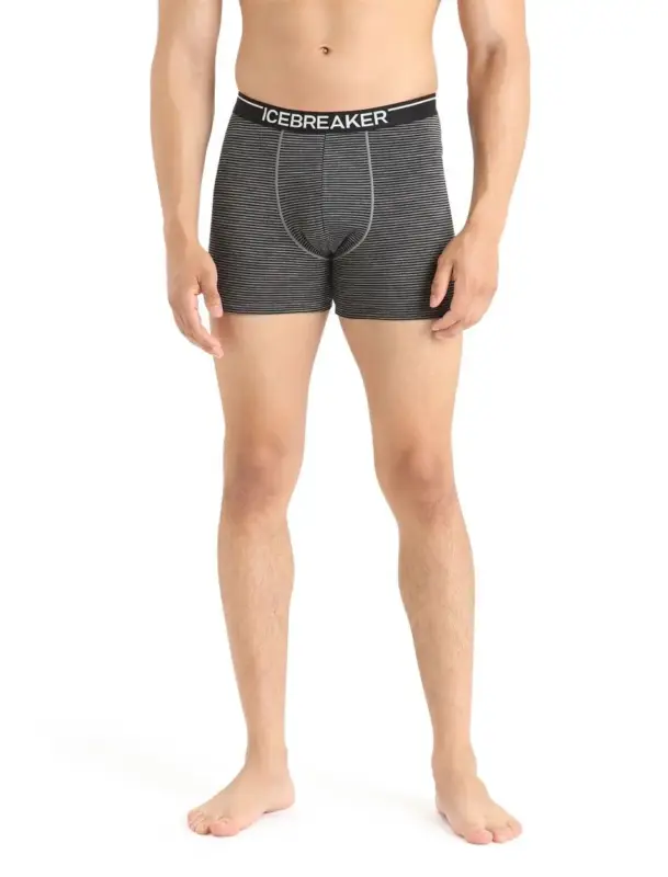Bokserki termoaktywne męskie Icebreaker Anatomica - Gritstone Heather Nowość