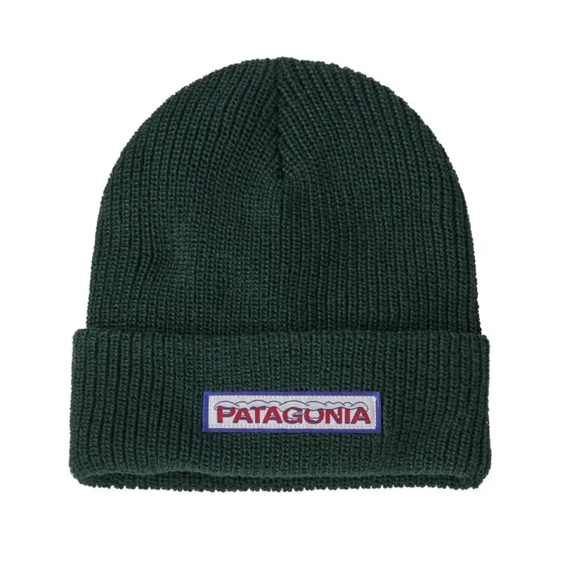 Czapka zimowa dziecięca Patagonia Kids' Logo Beanie - Conifer Green Oferta